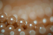 Macro Attack!, a Templates & Theme by SeikCo (Thumbnail 5 of 5)