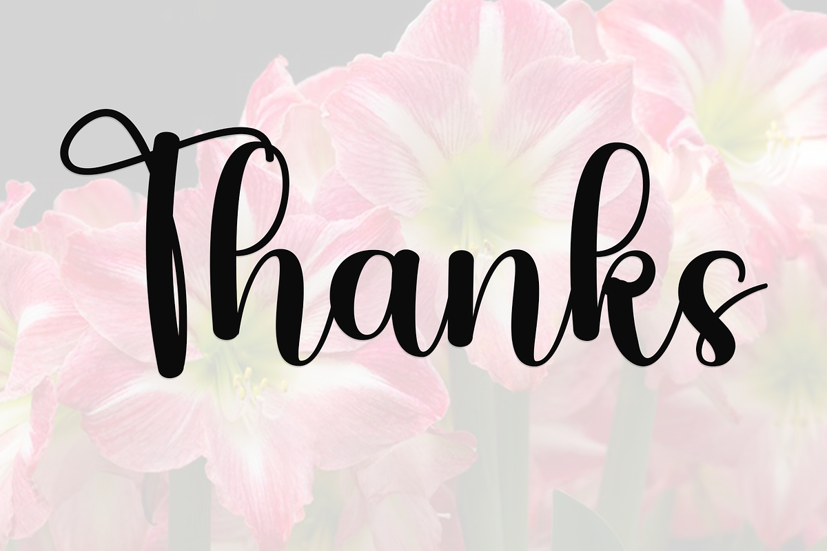 Amarilis, a Handwritten Font by FreshTypeINK (Photo 6 of 8)