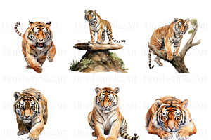 Watercolor Tiger Clipart, Tiger PNG