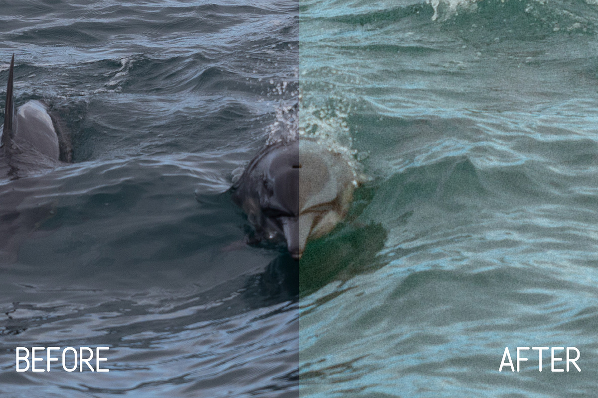 Island Film Lightroom presets, an Action Add-On by Jake & Meg (Photo 7 of 12)