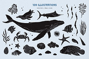 Sealife Silhouettes Illustration Set, an Animal Illustration by rouxsupplyco (Thumbnail 4 of 16)
