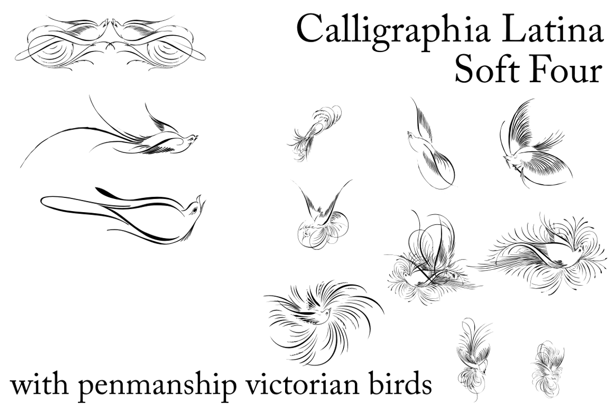Calligraphia Latina Soft Four preview 2