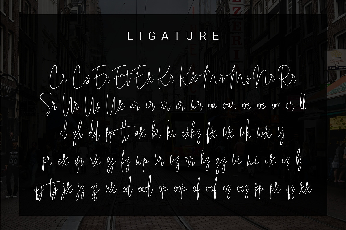 Intelligent Signature, a Script Font by Anatadesign (Photo 12 of 13)