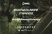 Creasi Script, a Font by Rudhi Sasmito (Thumbnail 2 of 4)