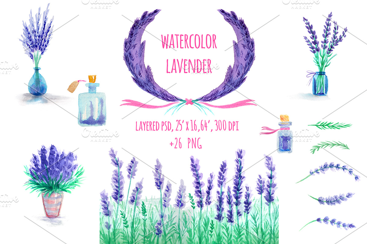 Watercolor Lavender Flowers, an Illustration by KatPush (Photo 1 of 2)