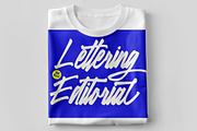 Lettering Editorial + Swashes, a Script Font by IM Studio (Thumbnail 9 of 9)