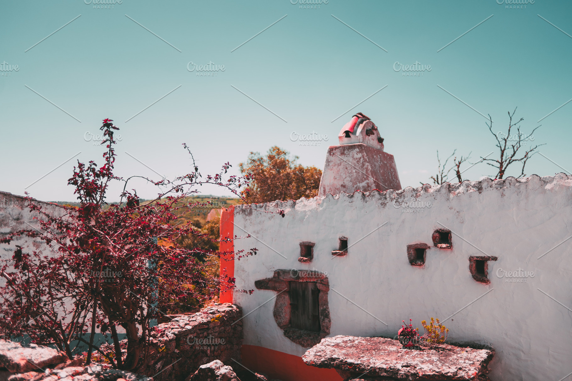 Rustic house with chimney and plants, an Architecture Photo by SkyNext