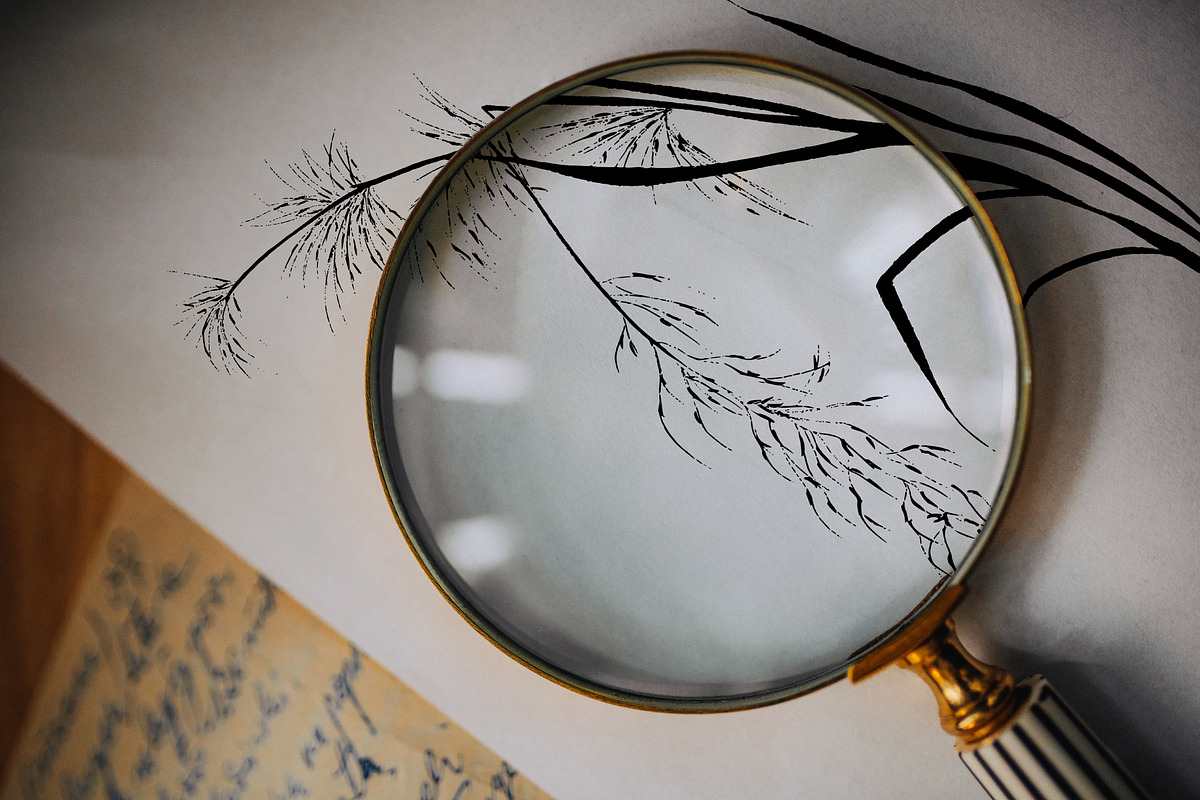 Fern and Grass Silhouettes, a Decorative Illustration by AW Studios (Photo 5 of 6)