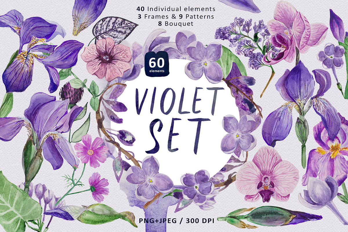 Violet Set, a Decorative Illustration by Design X0