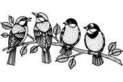 Birds on Branch Vector Collection, an Illustration by Designer_Momina (Thumbnail 21 of 21)