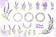 Lavender Set, a Decorative Illustration by Imaginasty (Thumbnail 3 of 5)