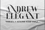ANDREW ELEGANT Font, a Serif Font by 177Studio (Thumbnail 1 of 7)
