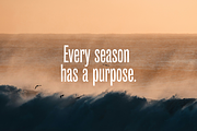 Citrus Tall Font, a Handwritten Font by gafaroff studio (Thumbnail 3 of 5)