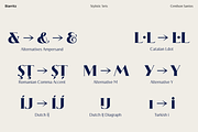Biarritz Luxury Editorial Serif, a Serif Font by Genilson Santos (Thumbnail 8 of 17)