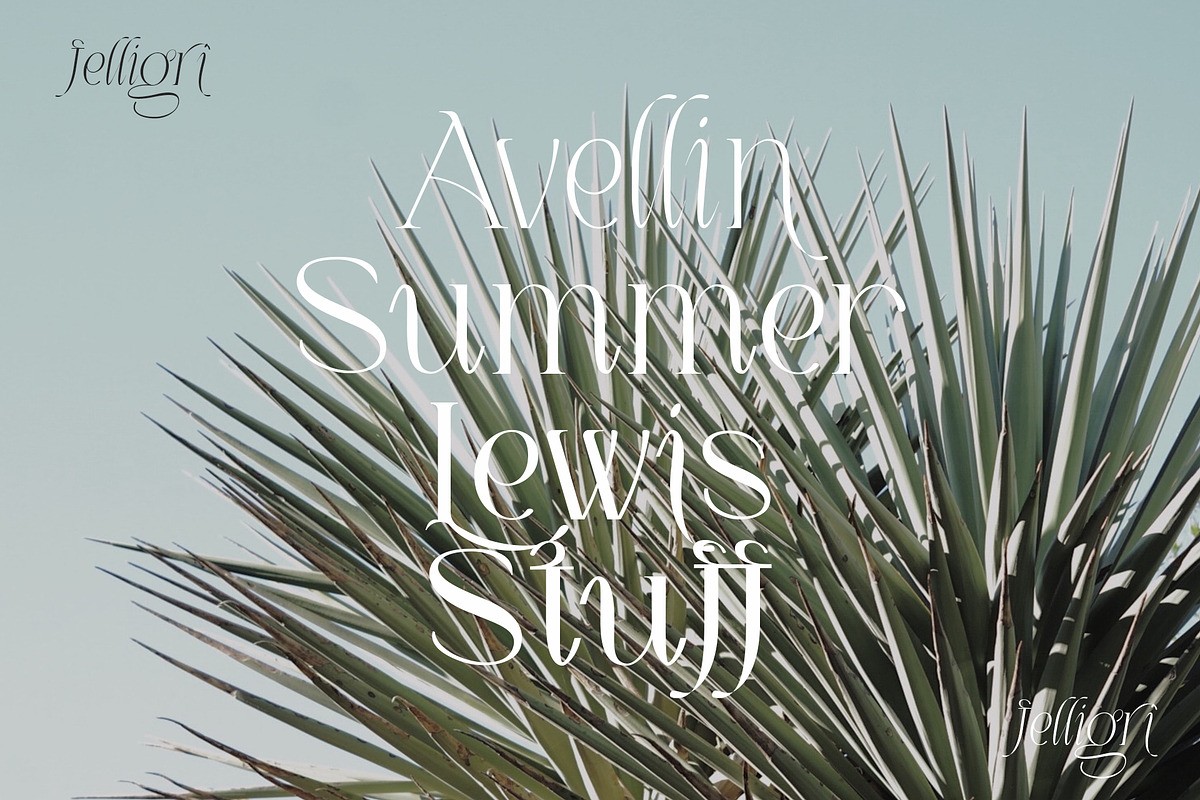 LOUIS felligri | Serif Display Font, a Serif Font by Jolicia Type (Photo 6 of 15)