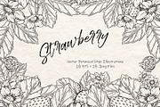 Strawberry Vector Ink Illustration, a Food Illustration by Milla_Zelenyuk_art (Thumbnail 1 of 5)