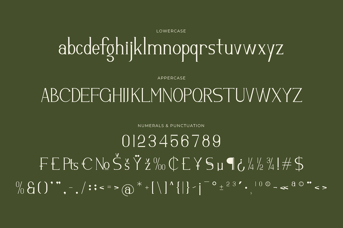 Gradonia -  Serif Typeface Font, a Serif Font by Rishsketch (Photo 13 of 15)