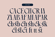 Chonza Modern Luxury Serif Font, a Serif Font by timelesstype.co (Thumbnail 18 of 20)