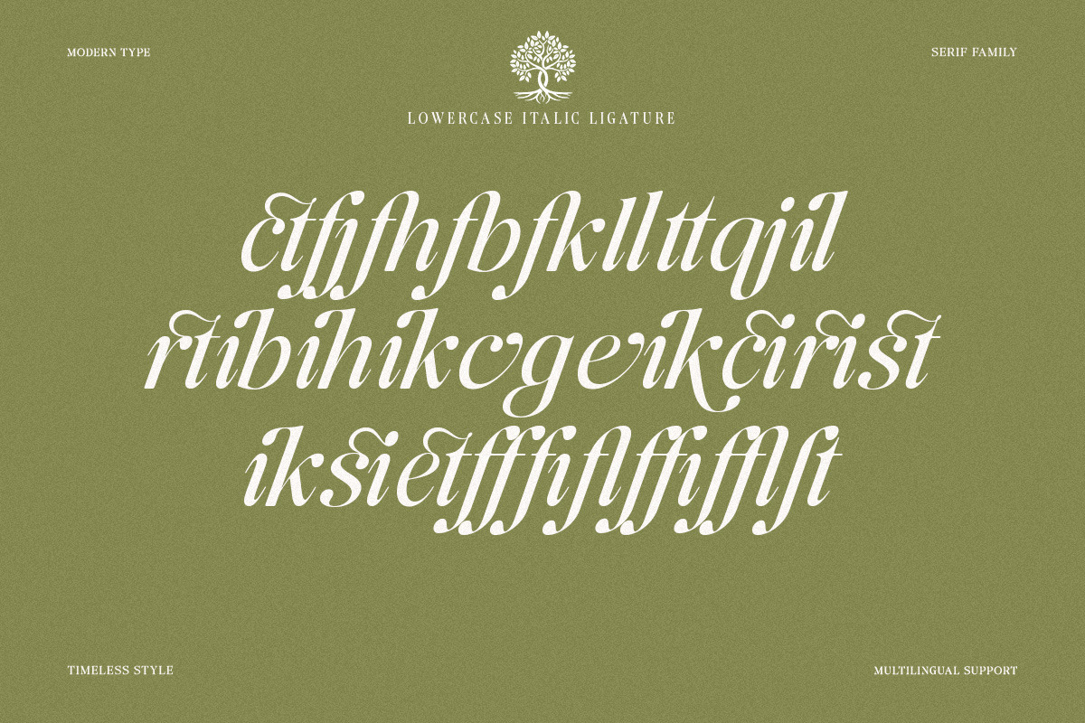 The Andalucia Serif, a Serif Font by Pista Mova (Photo 20 of 26)