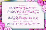Angella Beauty Srcipt Font, a Script Font by Graphicxell (Thumbnail 4 of 10)