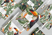 Tropical Haven I Premium Collection, a Pattern Graphic by Alisa Fimen Design (Thumbnail 2 of 11)