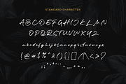Luxery Classy Handwritten Font, a Script Font by Prestigetype (Thumbnail 11 of 13)