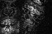 Black Static, a Texture Graphic by Jennifer Lauren Creative (Thumbnail 19 of 20)