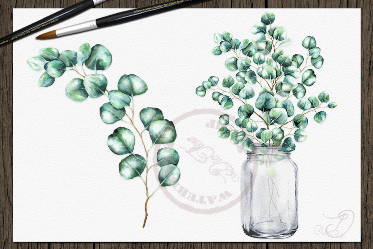Silver Dollar Eucalyptus, a Decorative Illustration by DioFlow (Photo 3 of 5)