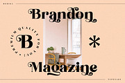 Begika Modern and Classy Serif Font, a Script Font by Storytype Studio (Thumbnail 5 of 11)