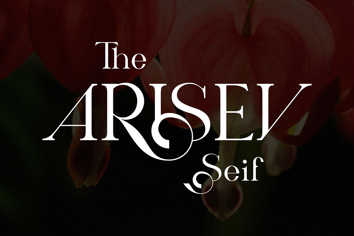 ARISEV Unique Serif Typeface, a Serif Font by yaqublekker (Photo 1 of 10)