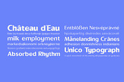 Sallona - Variable Sans Serif Font, a Sans Serif Font by MasaType (Thumbnail 8 of 10)