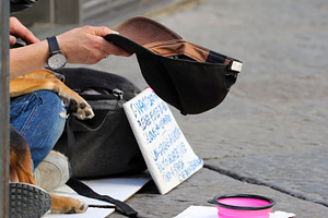 Homeless person asking for alms with dog in Florence, an Architecture Photo by Antonio Gravante Market