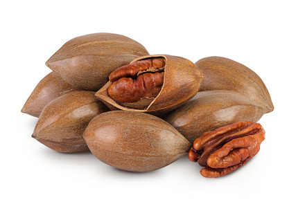 pecan nut isolated on white, a Food & Drink Photo by NataPhoto