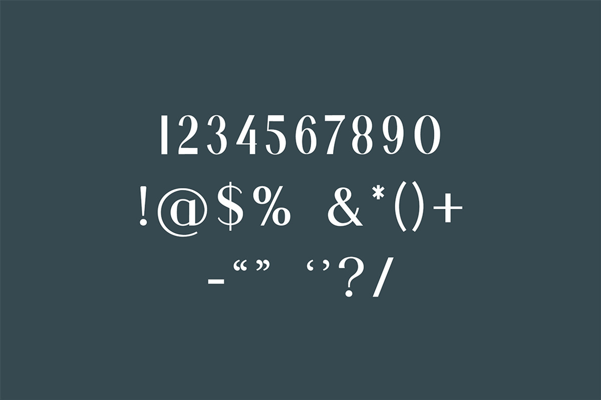 Liquefier Elegant Serif Font, a Serif Font by UICreative (Photo 8 of 13)
