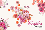 Magenta dahlia,watercolor flowers, an Illustration by yulia.sukhanova (Thumbnail 1 of 5)