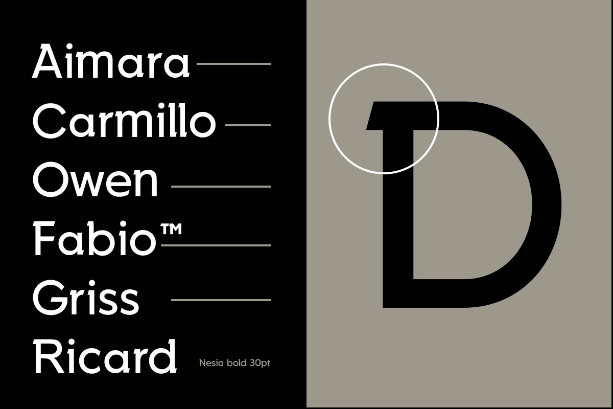 Nesia Sans Font, a Slab Serif Font by Ryan Rivaldo Vierra (Photo 4 of 11)