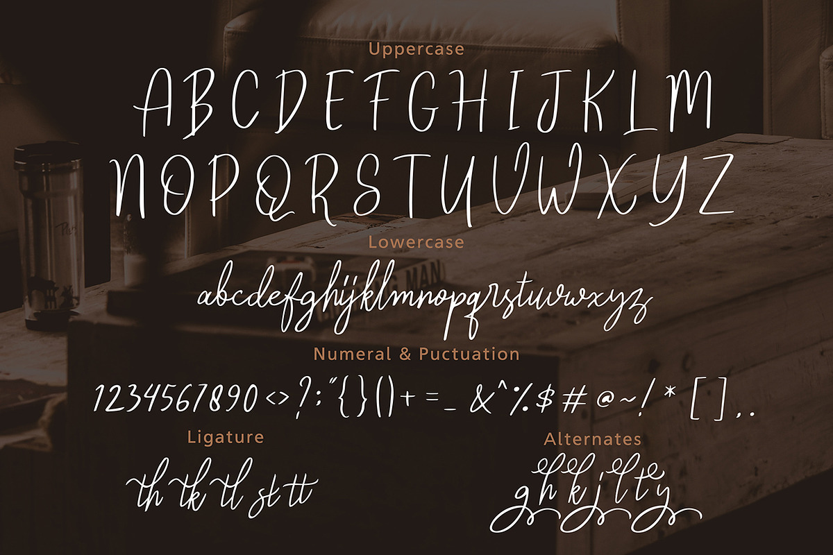 Reghina - Beautiful Feminine Script preview 4