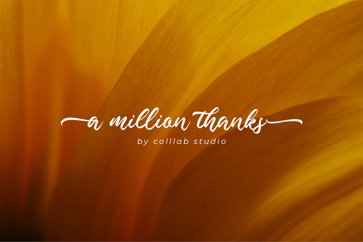Valleita Script, a Script Font by Colllab Studio (Photo 19 of 19)