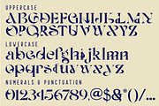 Feelings Painting | Ligature Font, a Serif Font by 177Studio (Thumbnail 9 of 9)