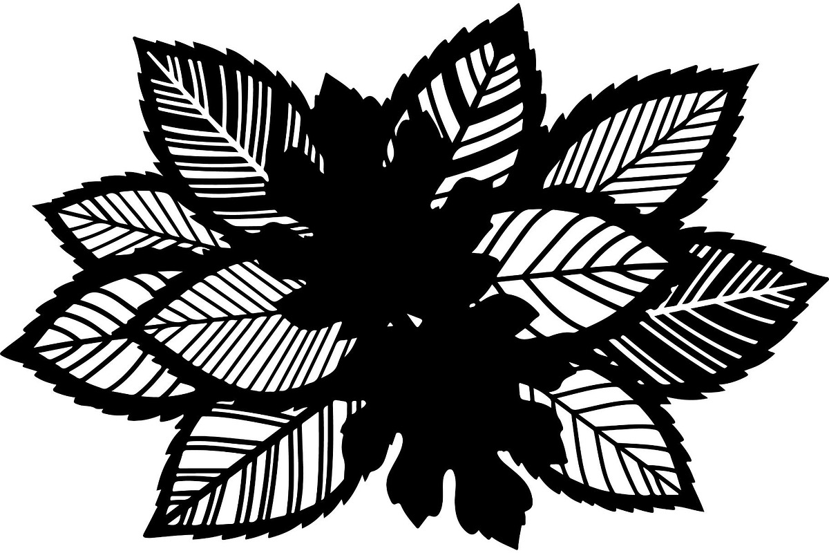 Botanical Leaf Silhouette, an Object Graphic by Creativeshirt (Photo 8 of 19)