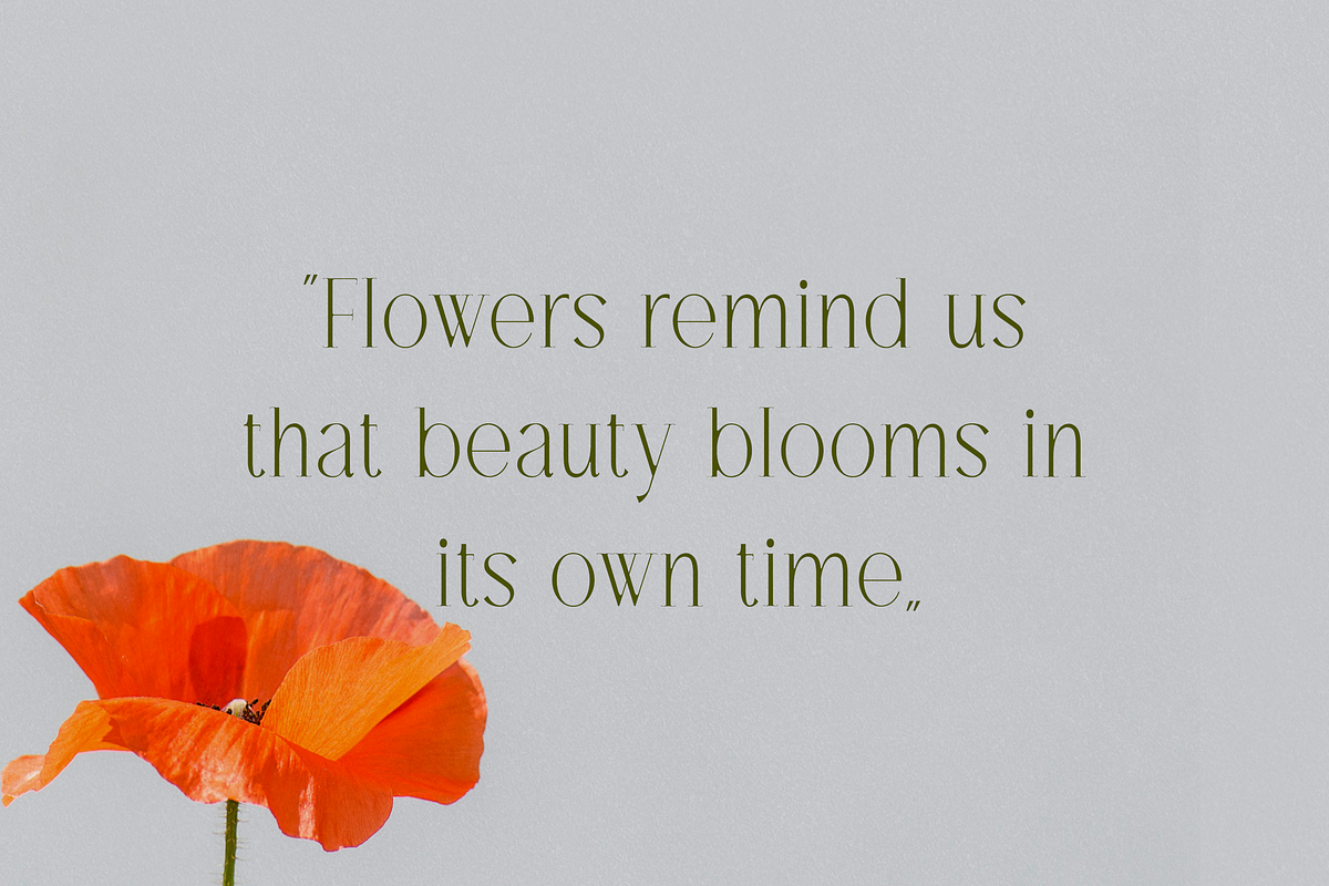 Rosalie Chic Serif, a Serif Font by gafaroff studio (Photo 3 of 6)