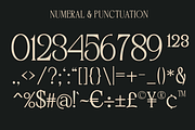 BIKAVE - A Modern Display, a Serif Font by Marvadesign (Thumbnail 3 of 6)