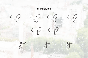 Rainyday Script Font