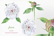 Florals watercolor set, an Illustration by Elegantia (Thumbnail 3 of 11)