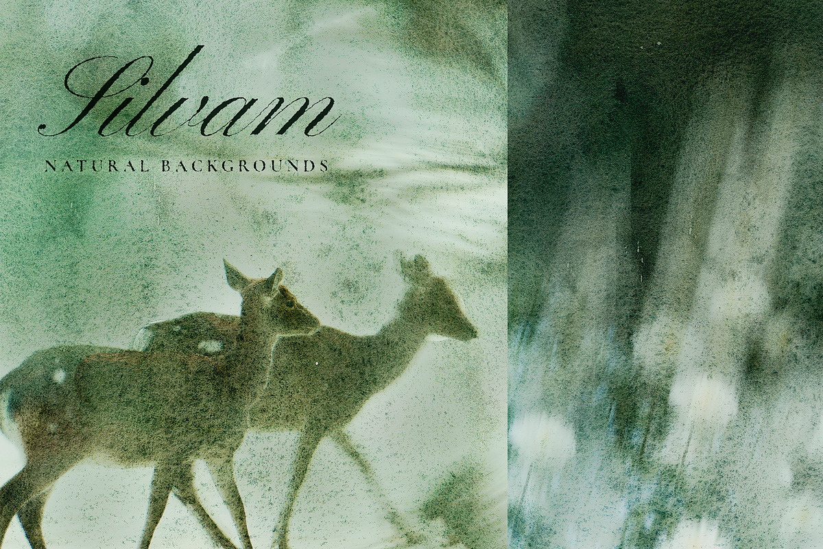 Silvam - Natural Backgrounds, a Background Graphic by Watercolor_Ma (Photo 6 of 9)