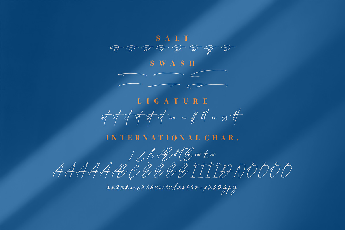 Dellyani, a Script Font by Integritype Studio (Photo 7 of 8)