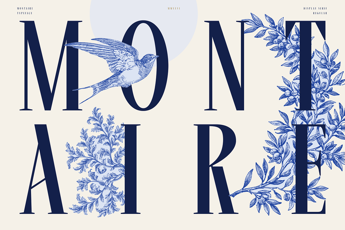 Montaire - Old Money Serif, a Serif Font by HipFonts (Photo 1 of 20)