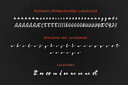 Boostnia, a Script Font by twinstd (Thumbnail 14 of 16)