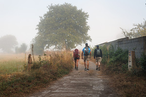 Pilgrims Walking on Foggy Rural Road, Camino de Santiago, Spain, a Person Photo by Bepslabor
