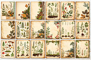 Vintage Botanical Junk Journal Pages, an Object Graphic by Anna Design Studio (Thumbnail 4 of 5)